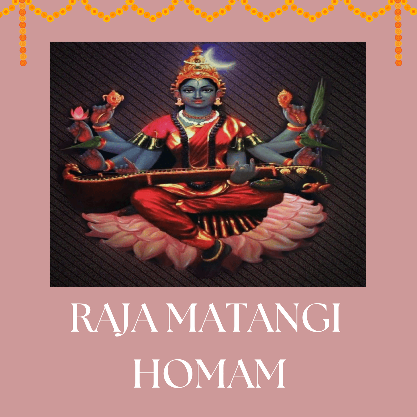 Homam for Raja Matangi