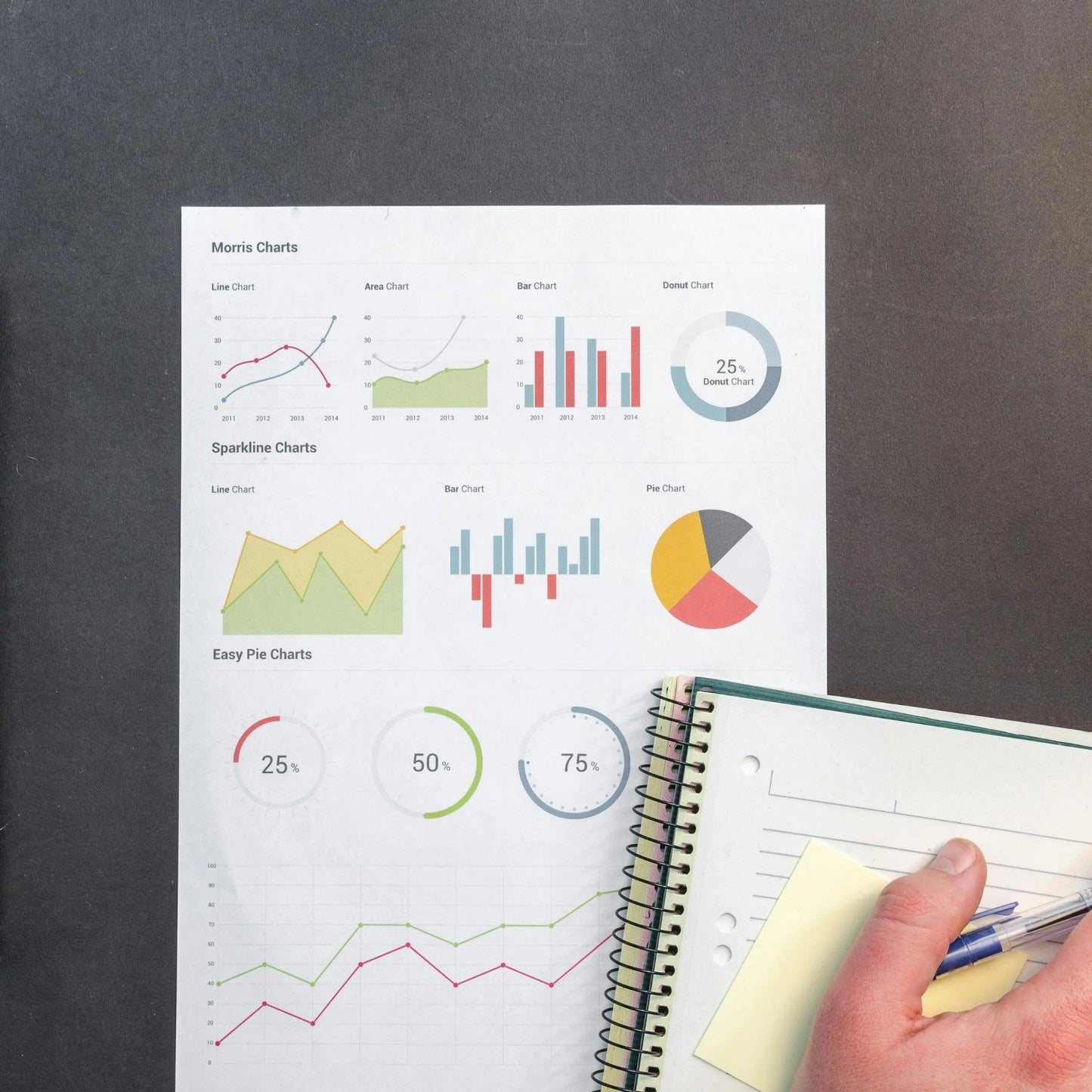 FINANCE REPORT