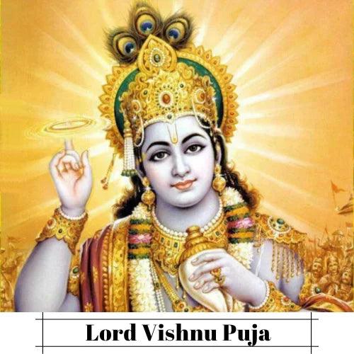 Lord Vishnu Puja for Career