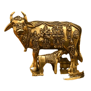 Gaumata Idols
