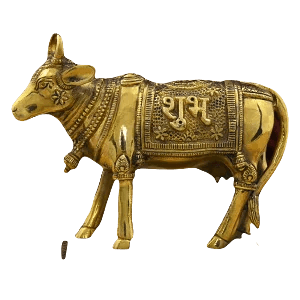 Gaumata Idols