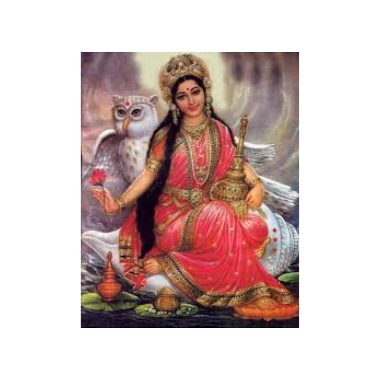 Bhairavi Homam Ceremony