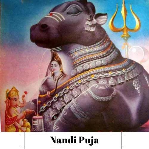 Nandi Worship Ceremony