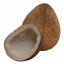 Dry Coconut