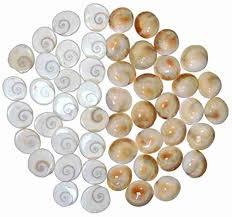 Gomti Chakra