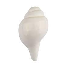 Natural Vamavarti Shankh ( Conch Shell)