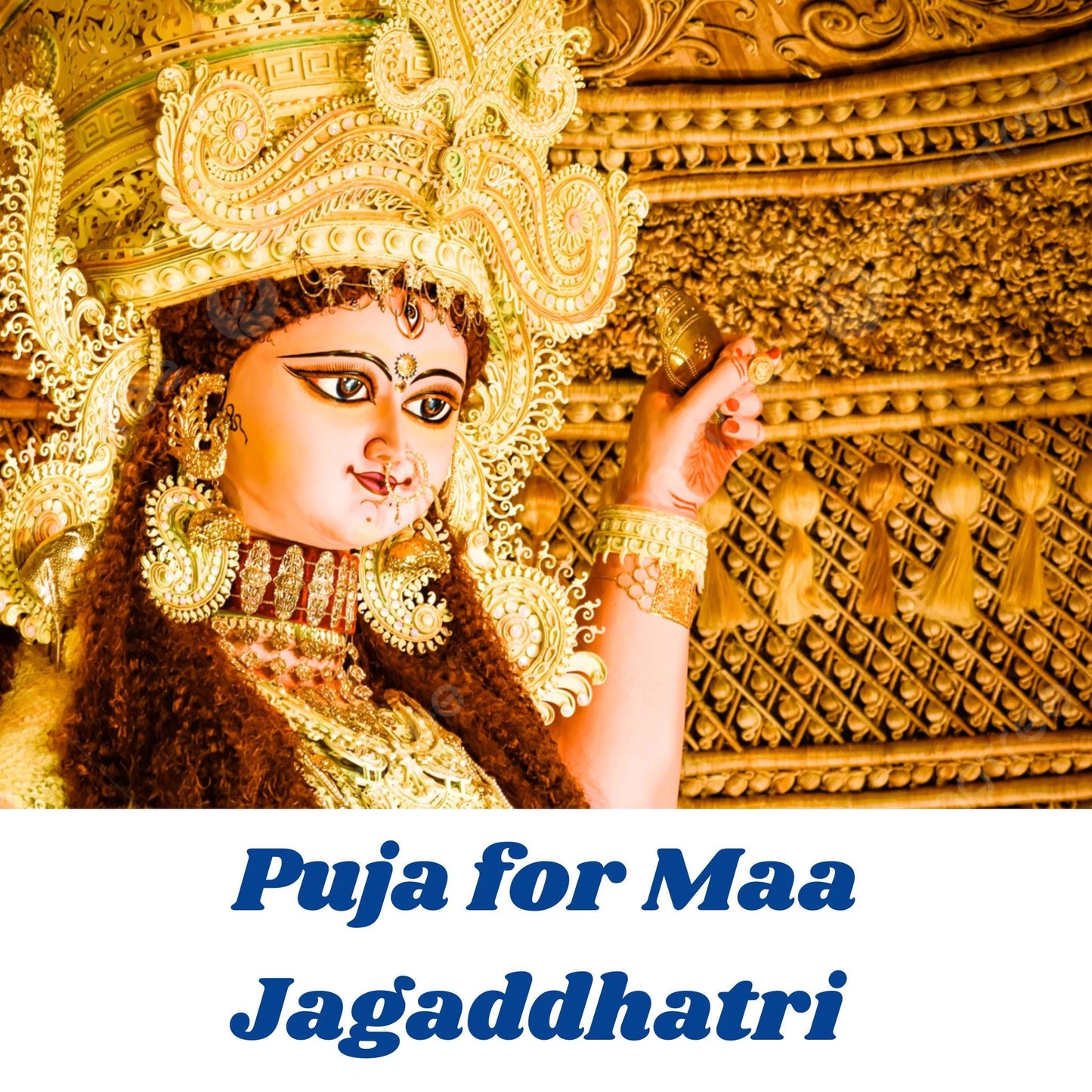 Puja for Maa Jagaddhatri
