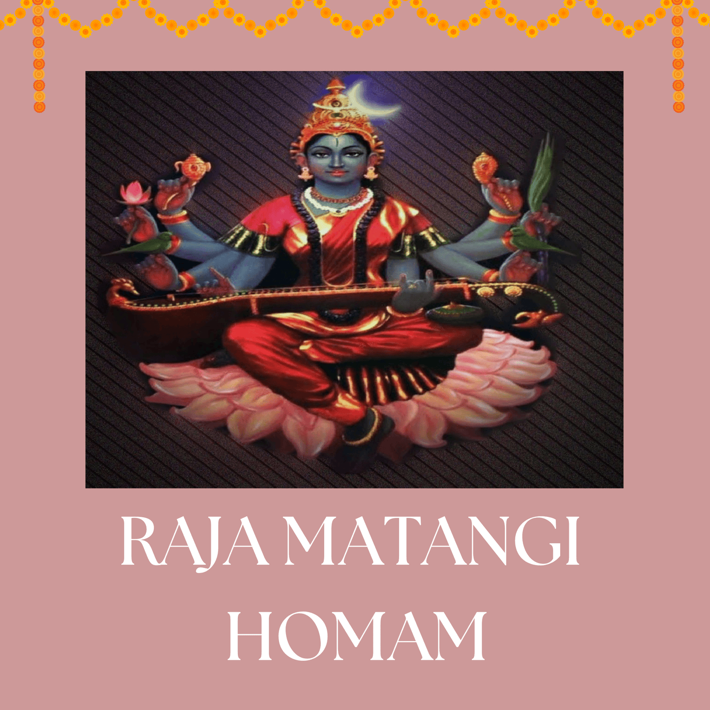 Raja Matangi Homam for Career