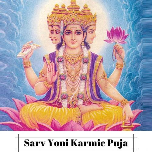 Sarv Yoni Karmic Puja