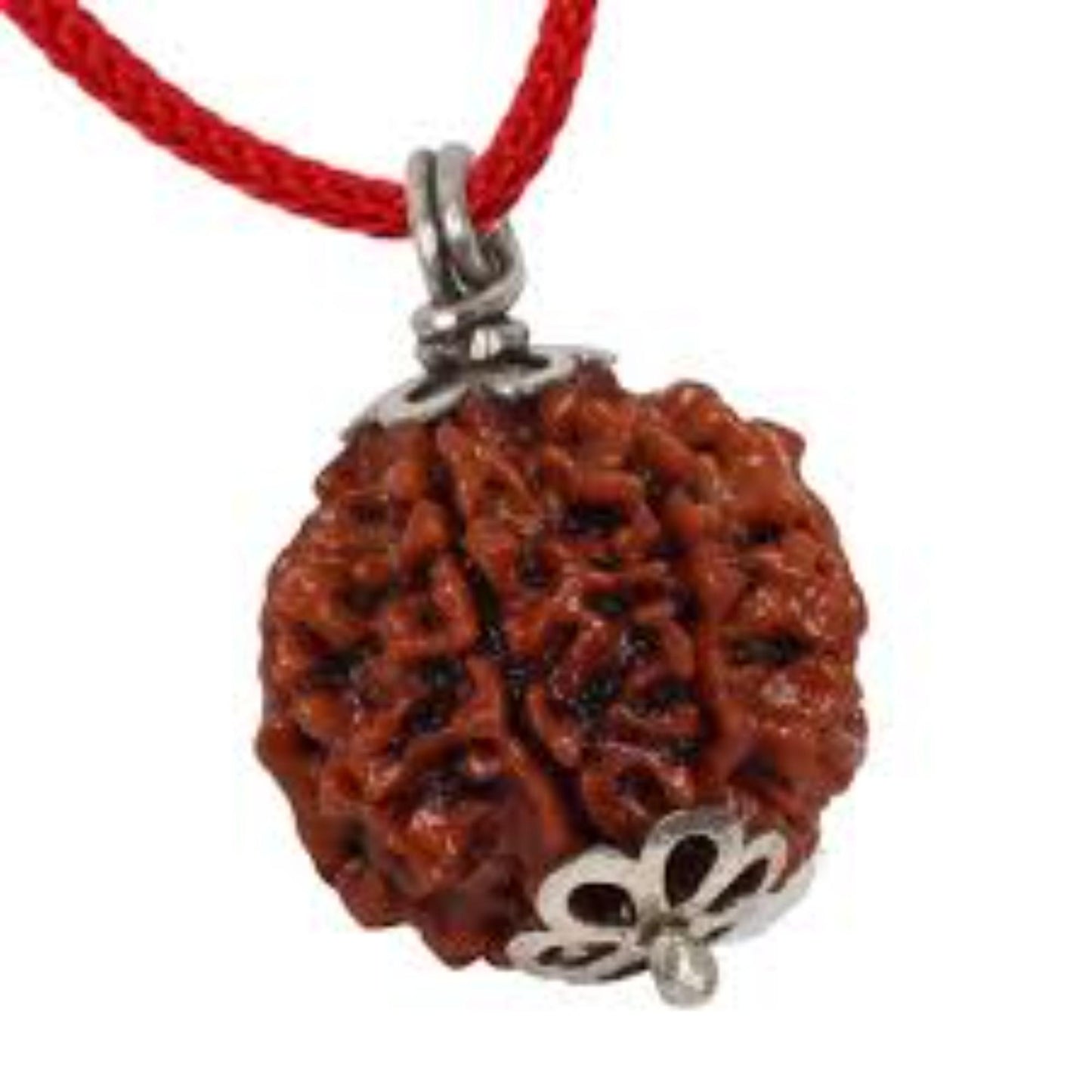 6 Mukhi Nepali Rudraksha