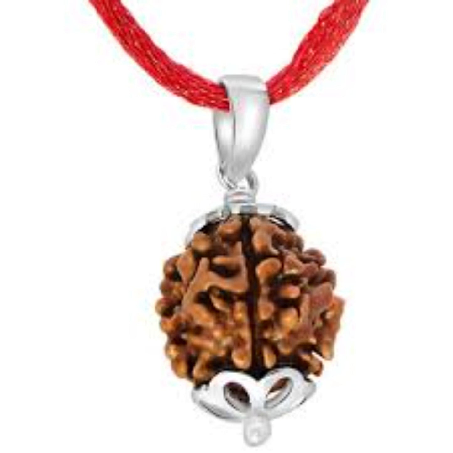 4 Mukhi Nepali Rudraksha