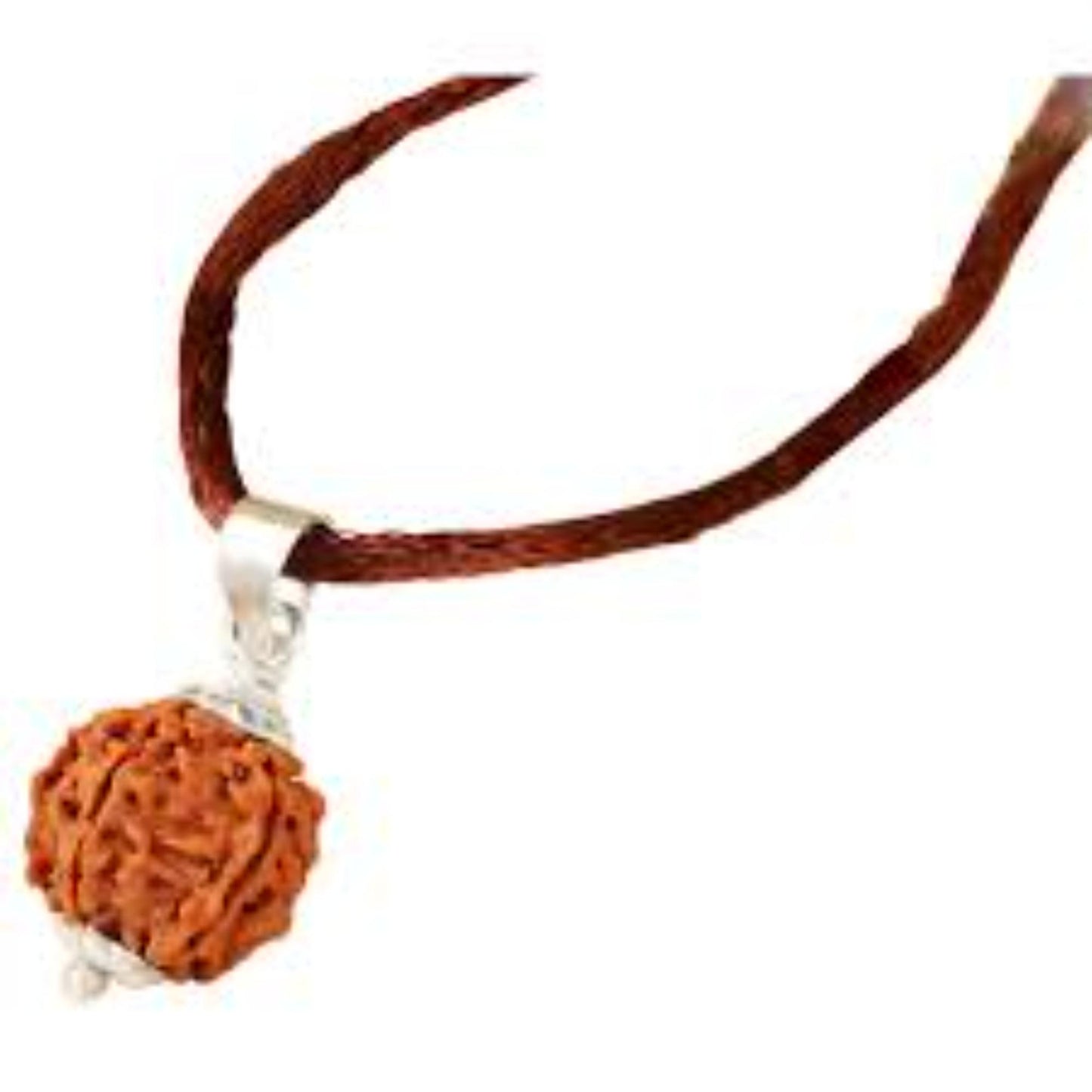 5 Mukhi Nepali Rudraksha