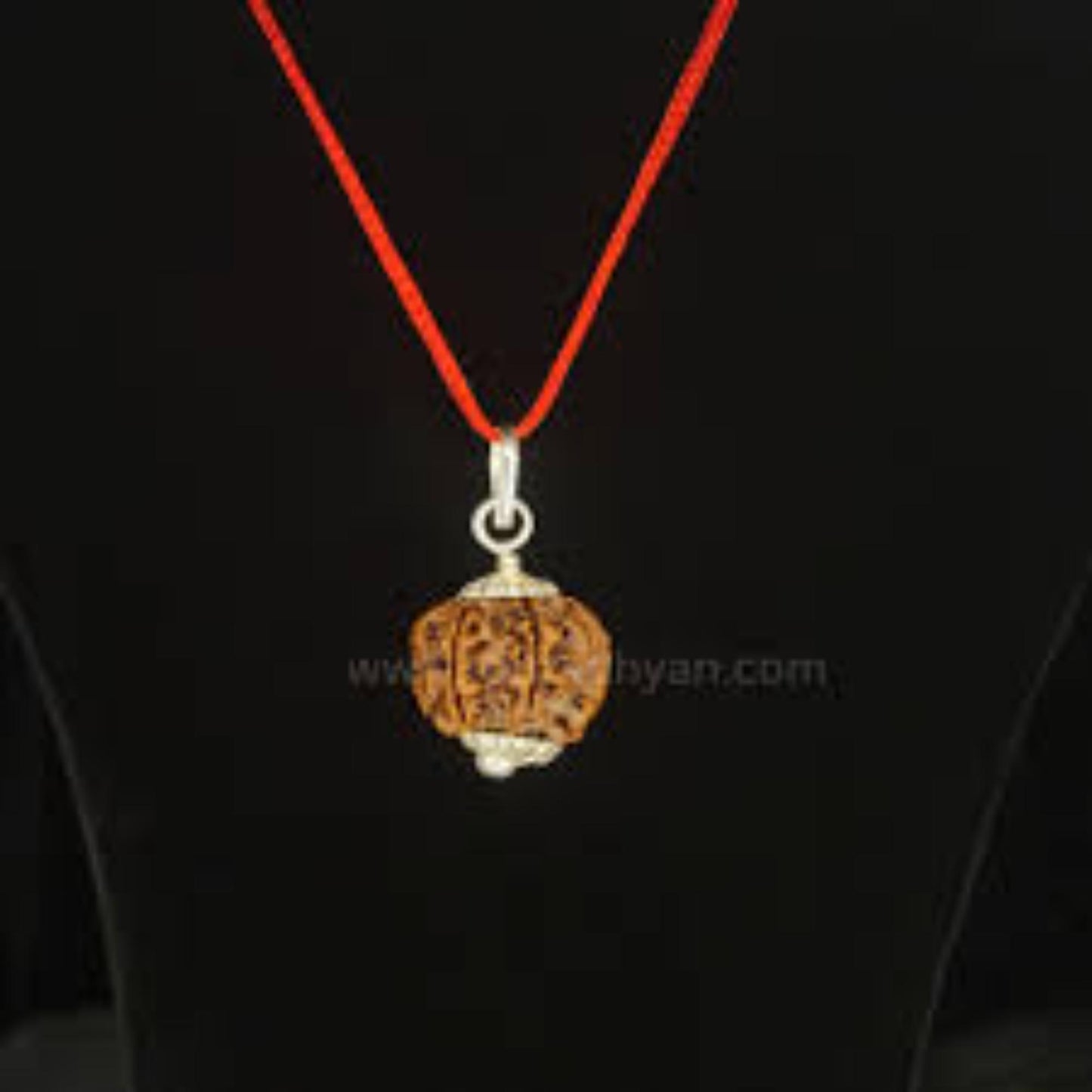 6 Mukhi Nepali Rudraksha