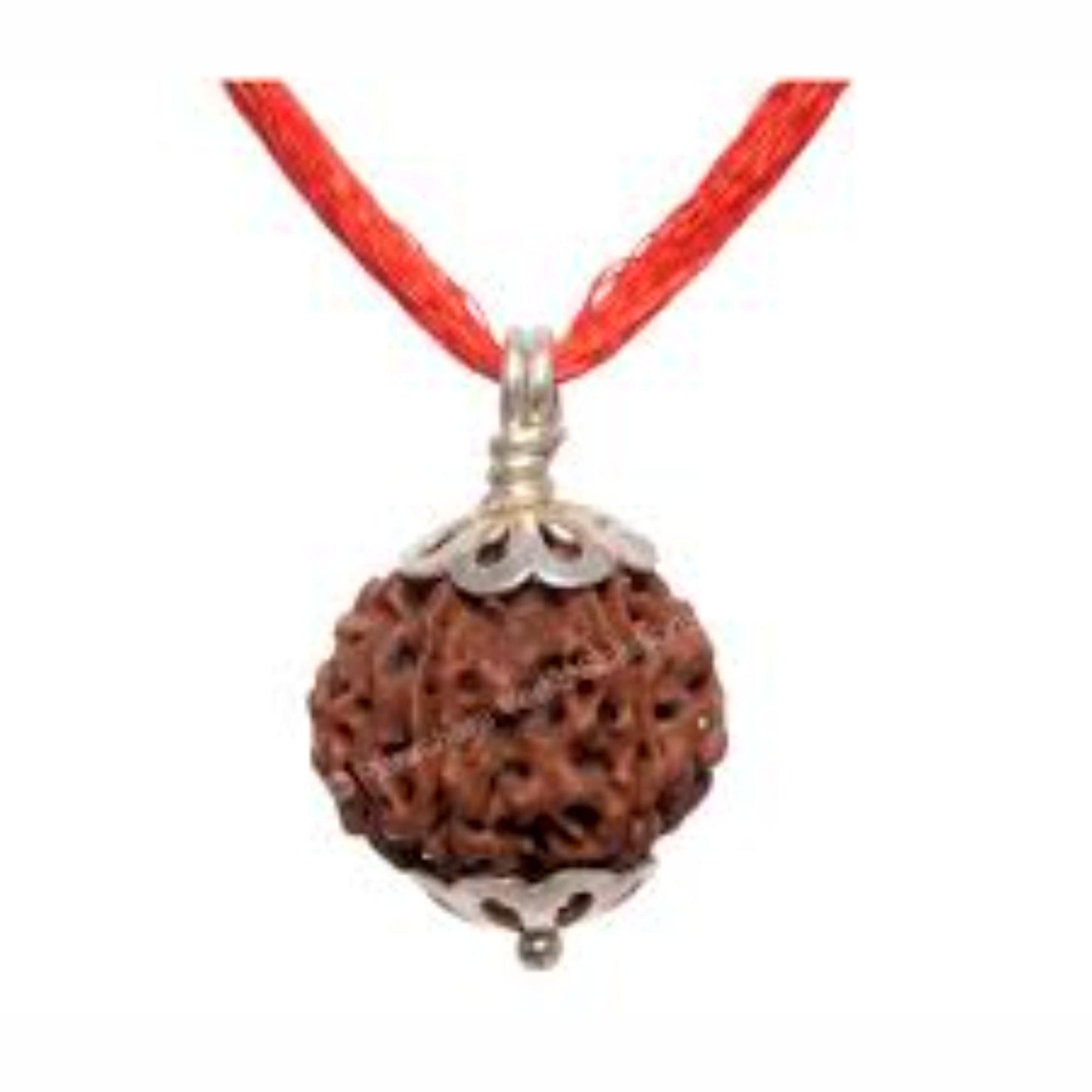 6 Mukhi Nepali Rudraksha