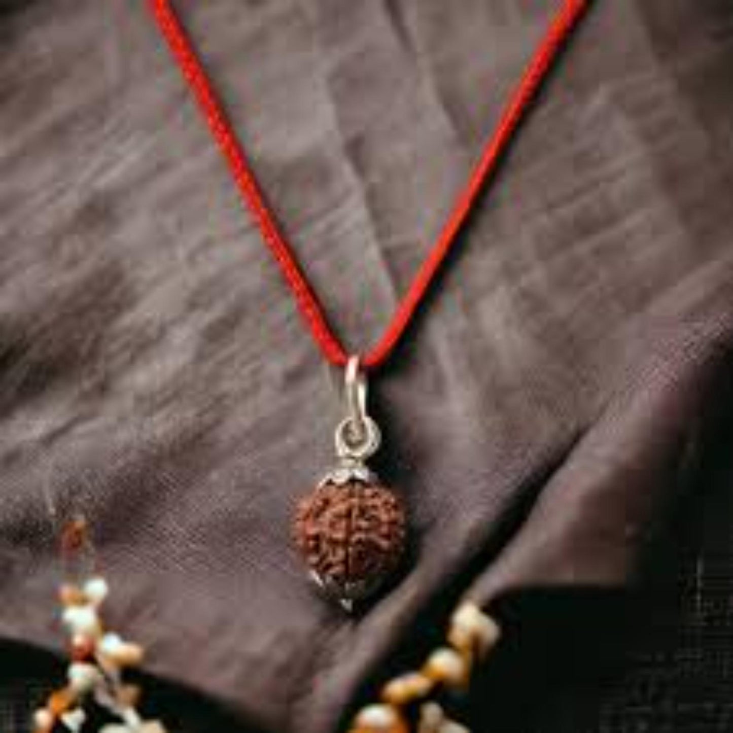 7 Mukhi Nepali Rudraksha
