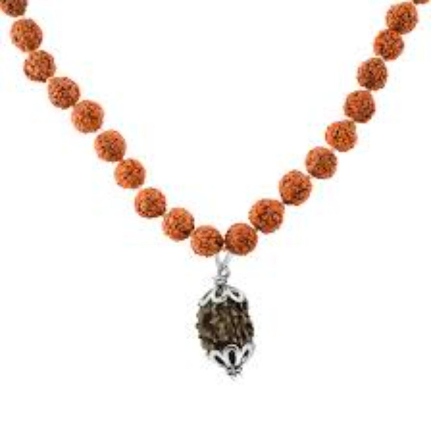 3 Mukhi Nepali Rudraksha