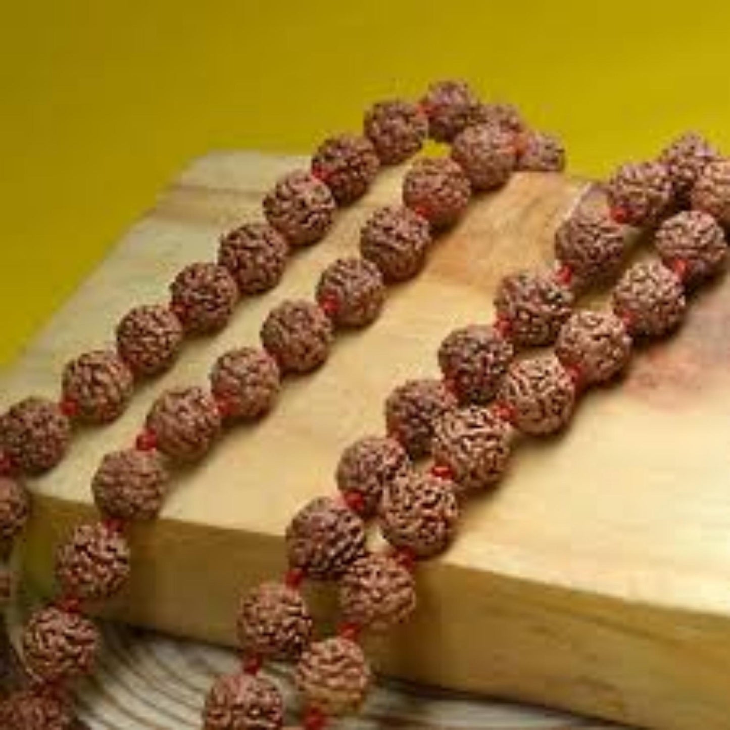 Brown Rudraksha Mala - 108+1 Beads