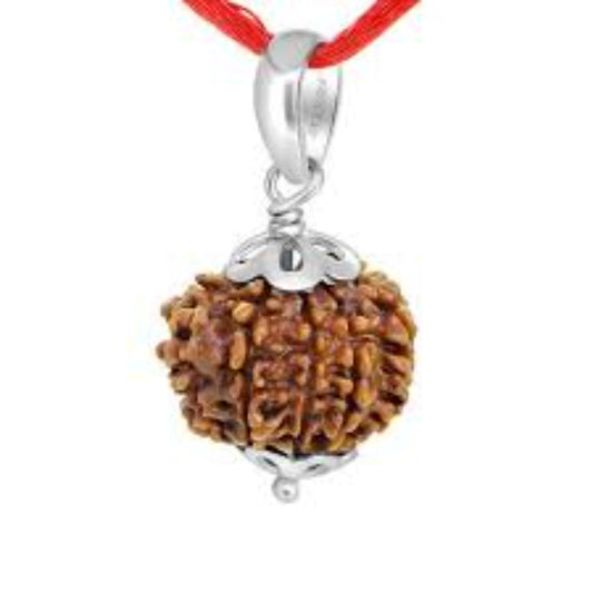 10_Mukhi Nepali Rudraksha