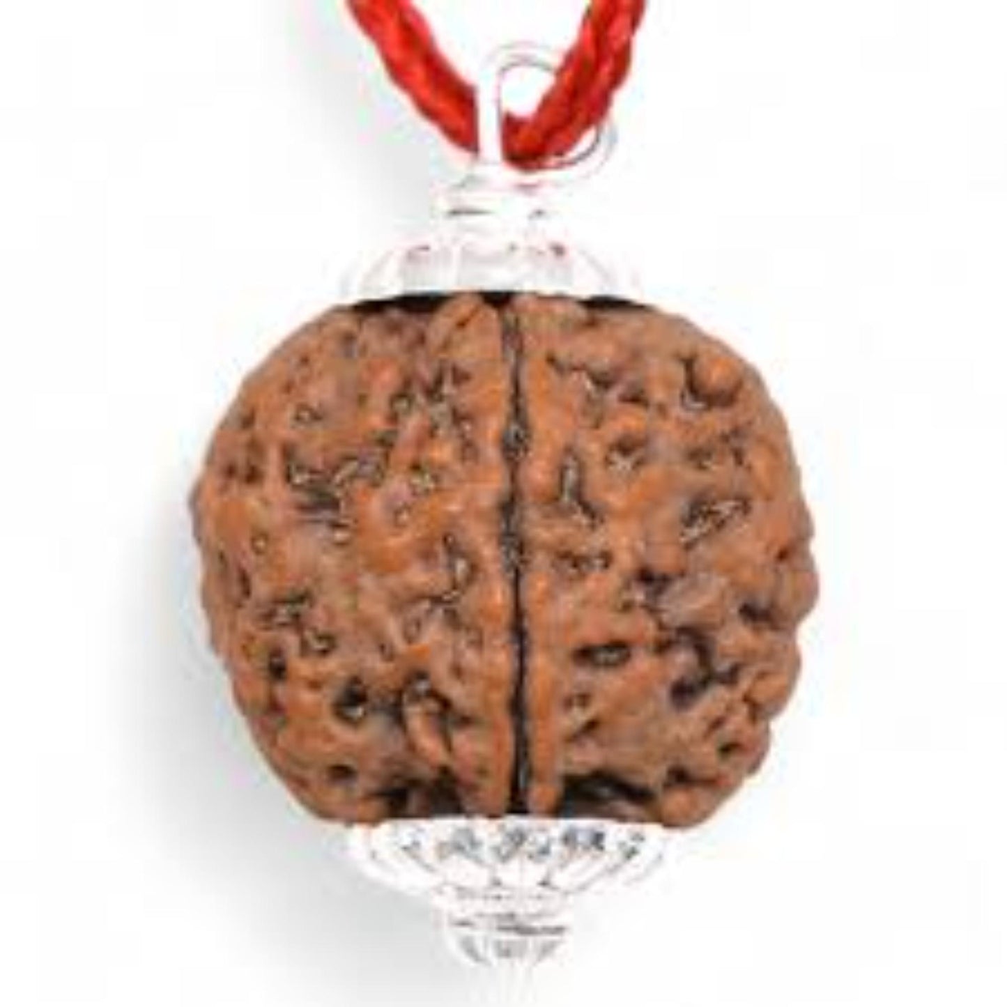 4 Mukhi Nepali Rudraksha