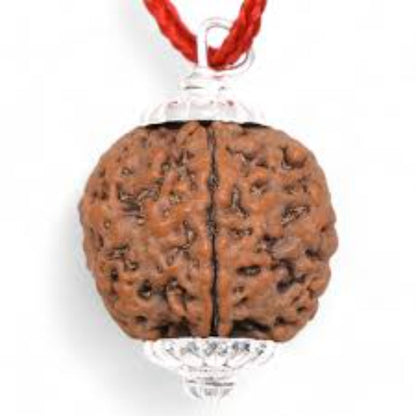 4 Mukhi Nepali Rudraksha