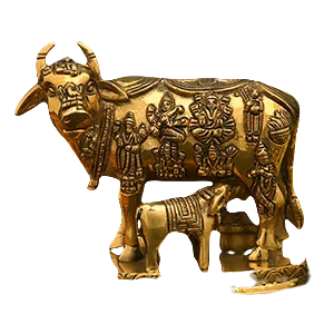 Gaumata Idols