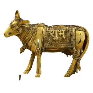 Gaumata Idols