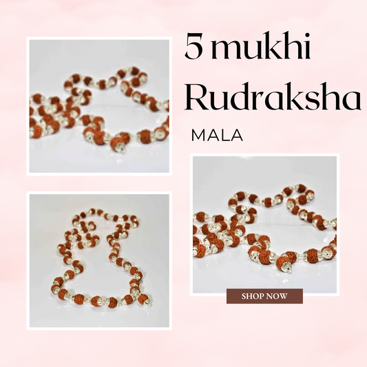 5 mukhi rudraksha silver mala