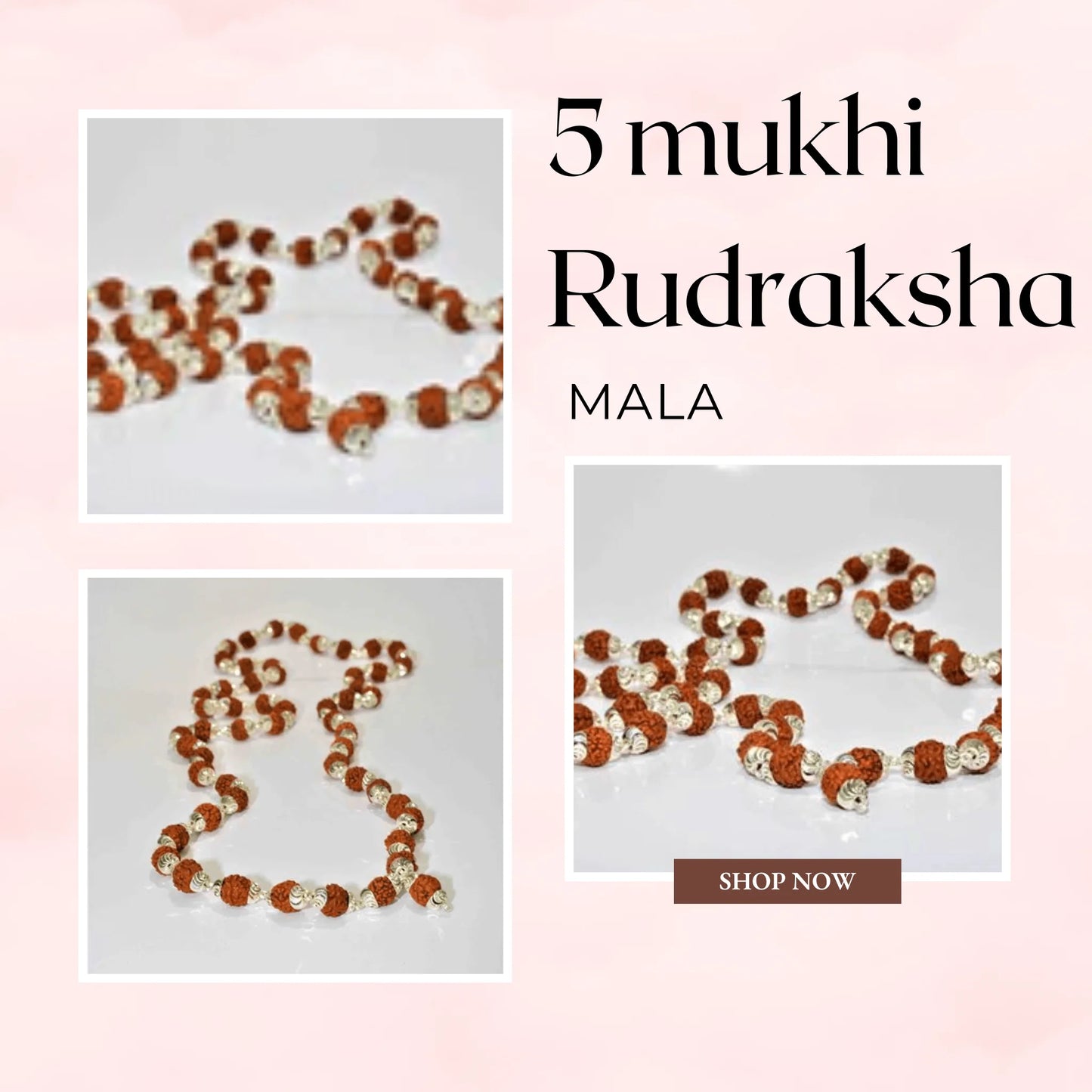 Buy Authentic 5 Mukhi Rudraksha Silver Mala – Benefits, Uses, and Spiritual Significance