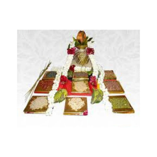 Comprehensive Graha Puja
