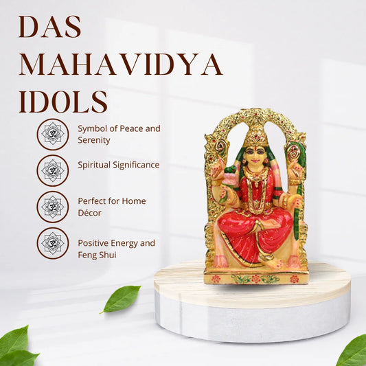 Das Mahavidya Idol