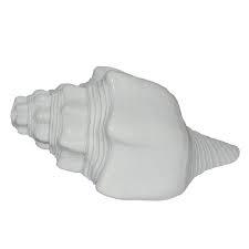 Dakshinavarti Shankh (Conch Shell)