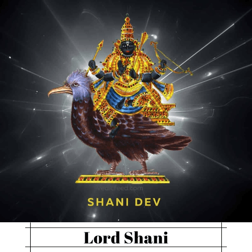 Free Shield from Shani's Anger