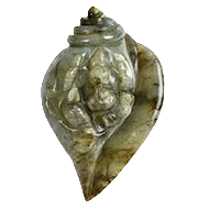 Gemstone Shankh