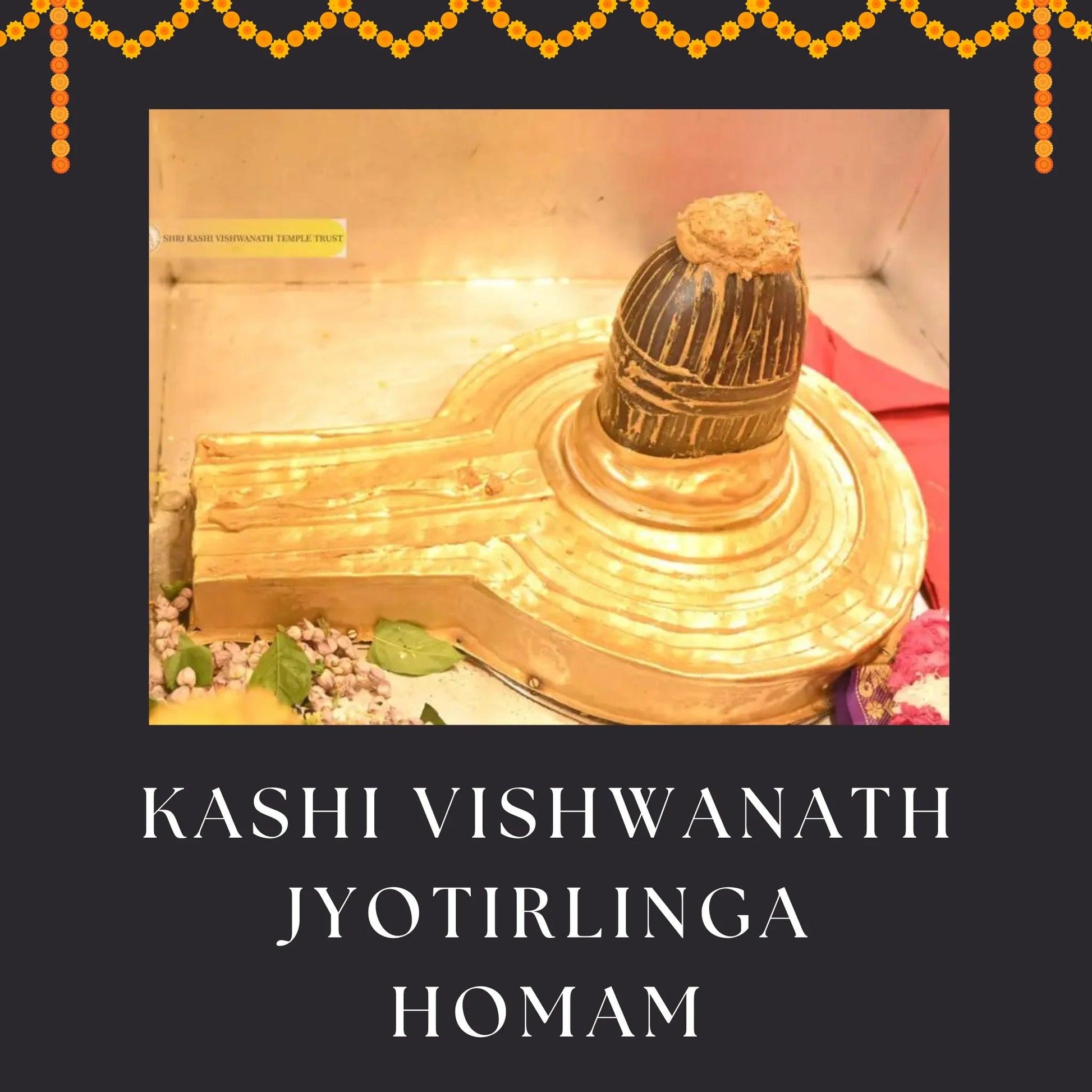 Kashi Vishwanath-Jyotirlinga Homam