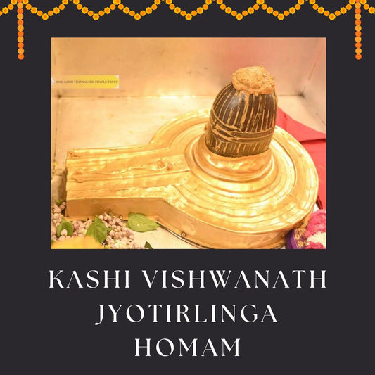 Kashi Vishwanath-Jyotirlinga Homam