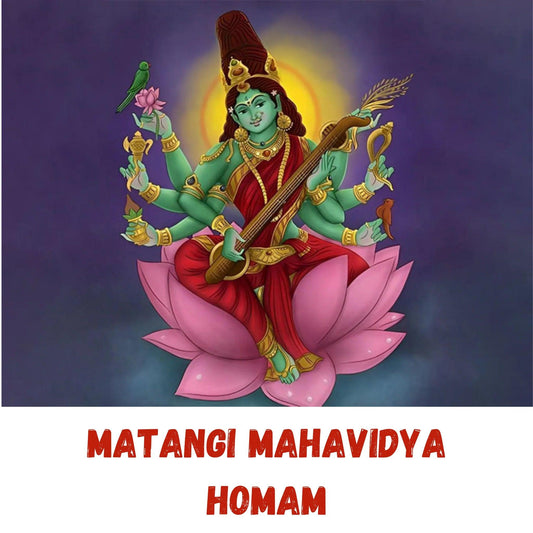 Matangi-Mahavidya Homam