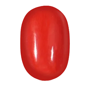 Red Coral Stone