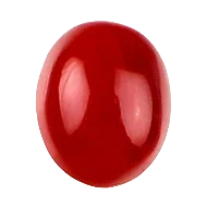 Red Coral Stone