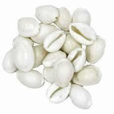 White Kodi For Pooja