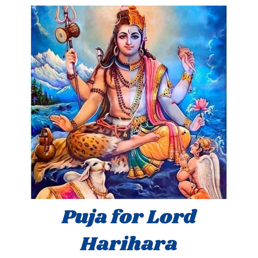 Worship of Lord Harihara