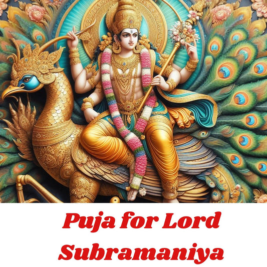 Worship of Lord Subramaniya