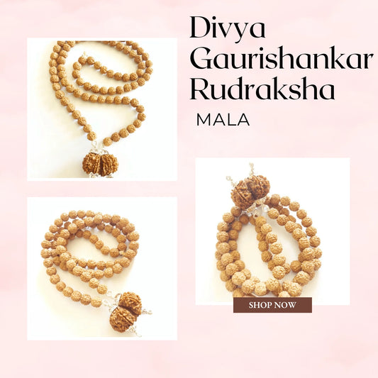 Divy Gaurishankar Rudraksha Mala – A Spiritual Powerhouse for Inner Peace and Harmony